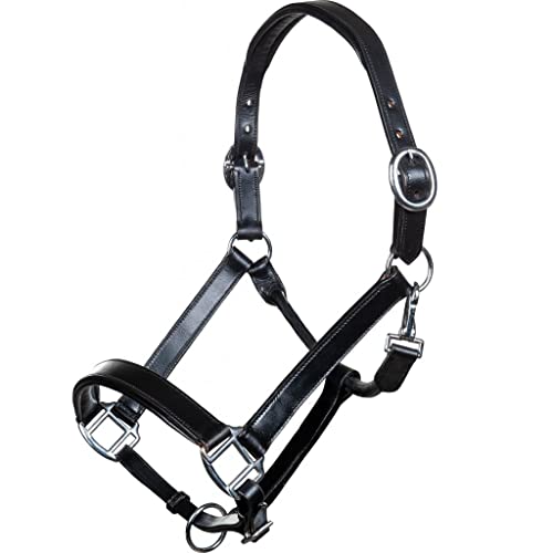 HKM Economic Leather Headcollar 9100 Black Thoroughbred